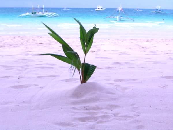 White sand beaches of Boracay