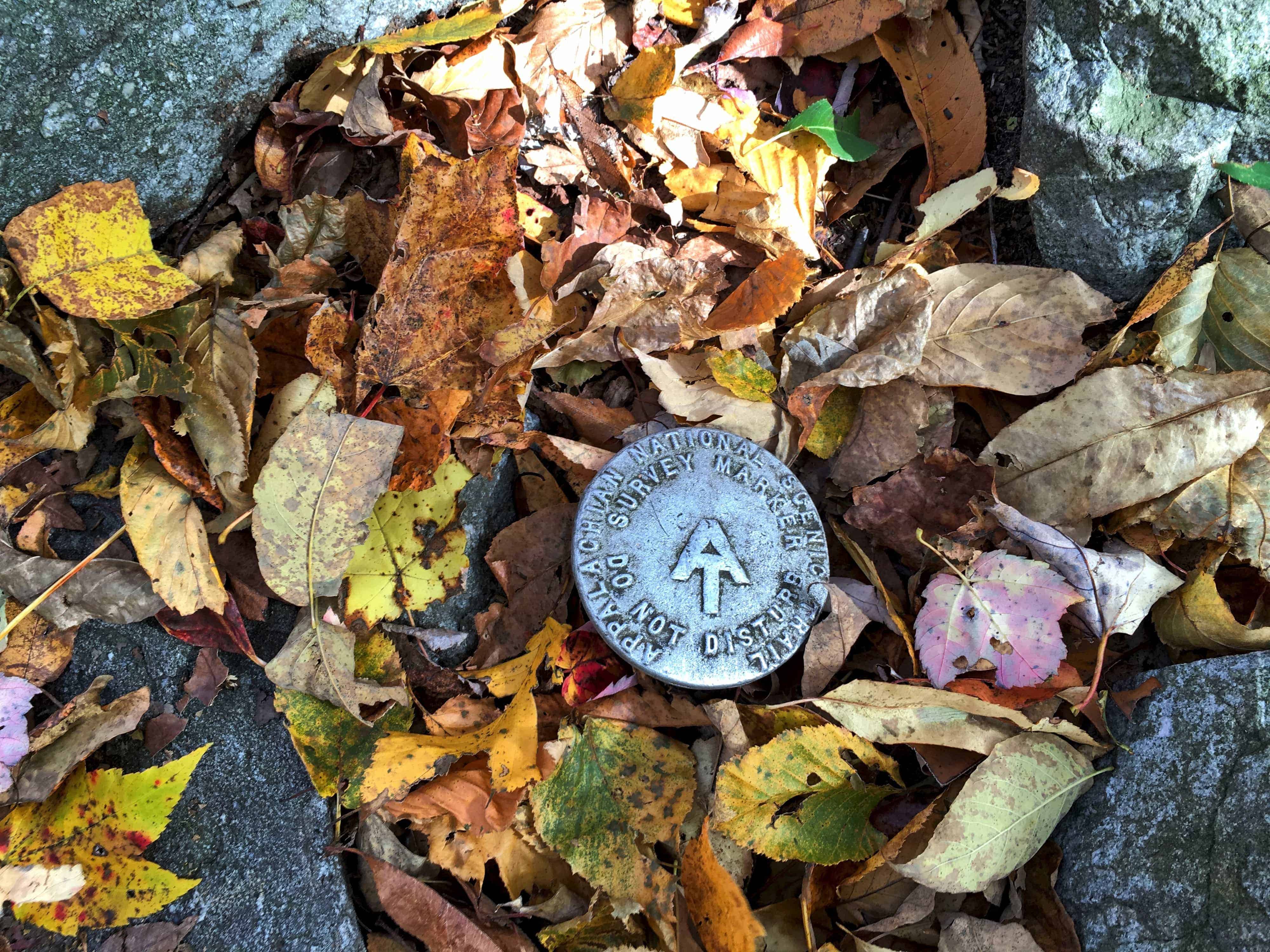 Appalachian Trail marker (photo: Steve Raubenstine)