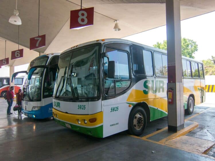 There's a lot of strategy in learning how to choose a seat on a bus in Mexico