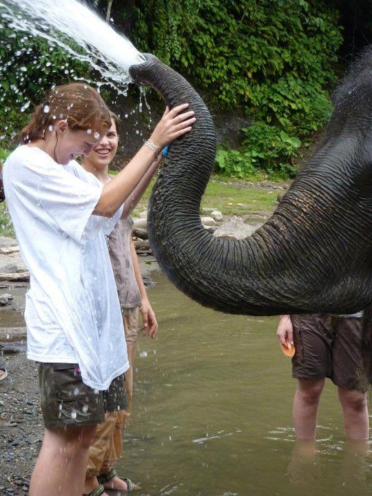 A fun day with elephants