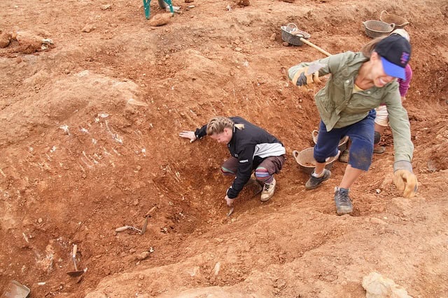 Archaeological dig volunteers in a trench.