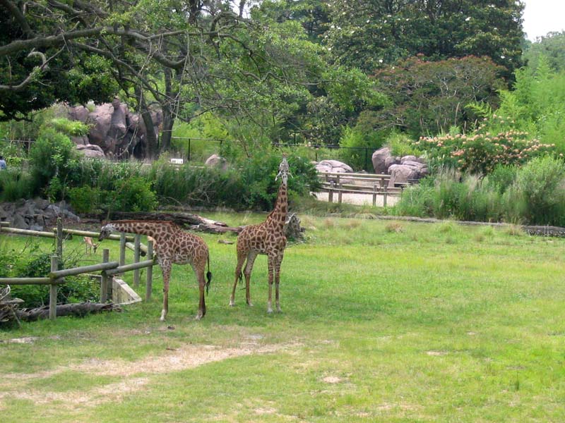 Virginia Zoo