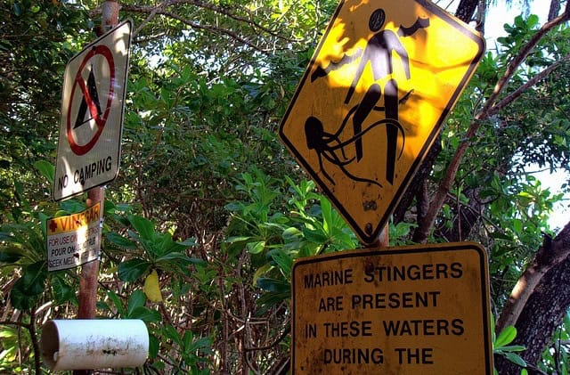 Jellyfish warning sign on a Queensland beach.