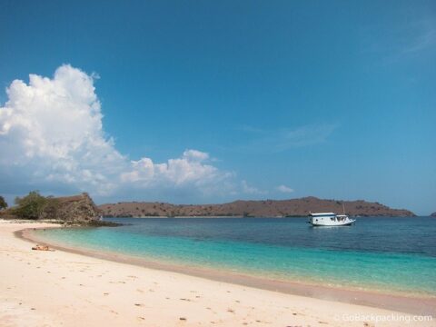 Pink Beach: Snorkeling on Komodo Island - Go Backpacking