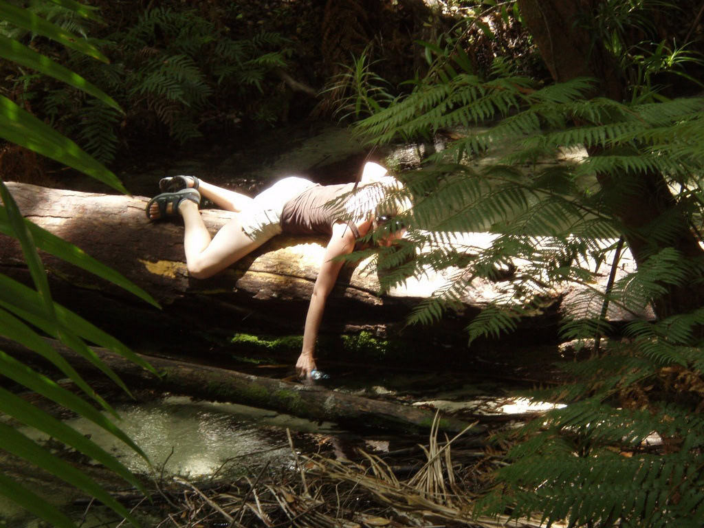 Fraser Island (photo: Mike Lawton)