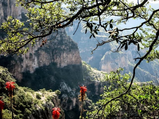 Mexico's Copper Canyon