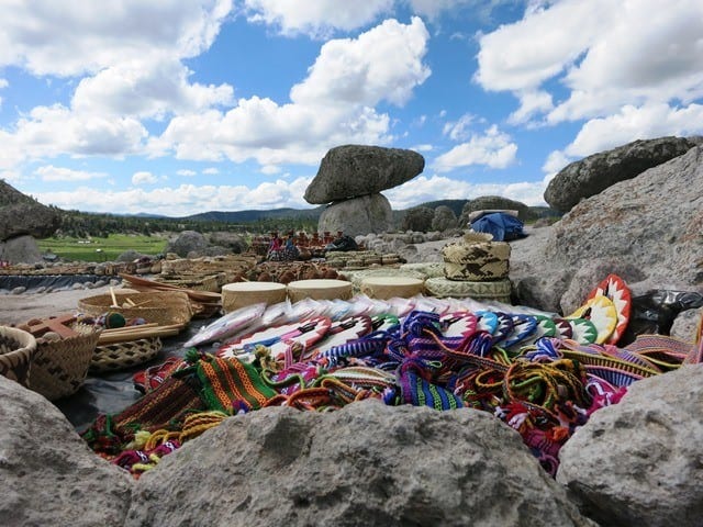 Valley of the Mushrooms and Frogs