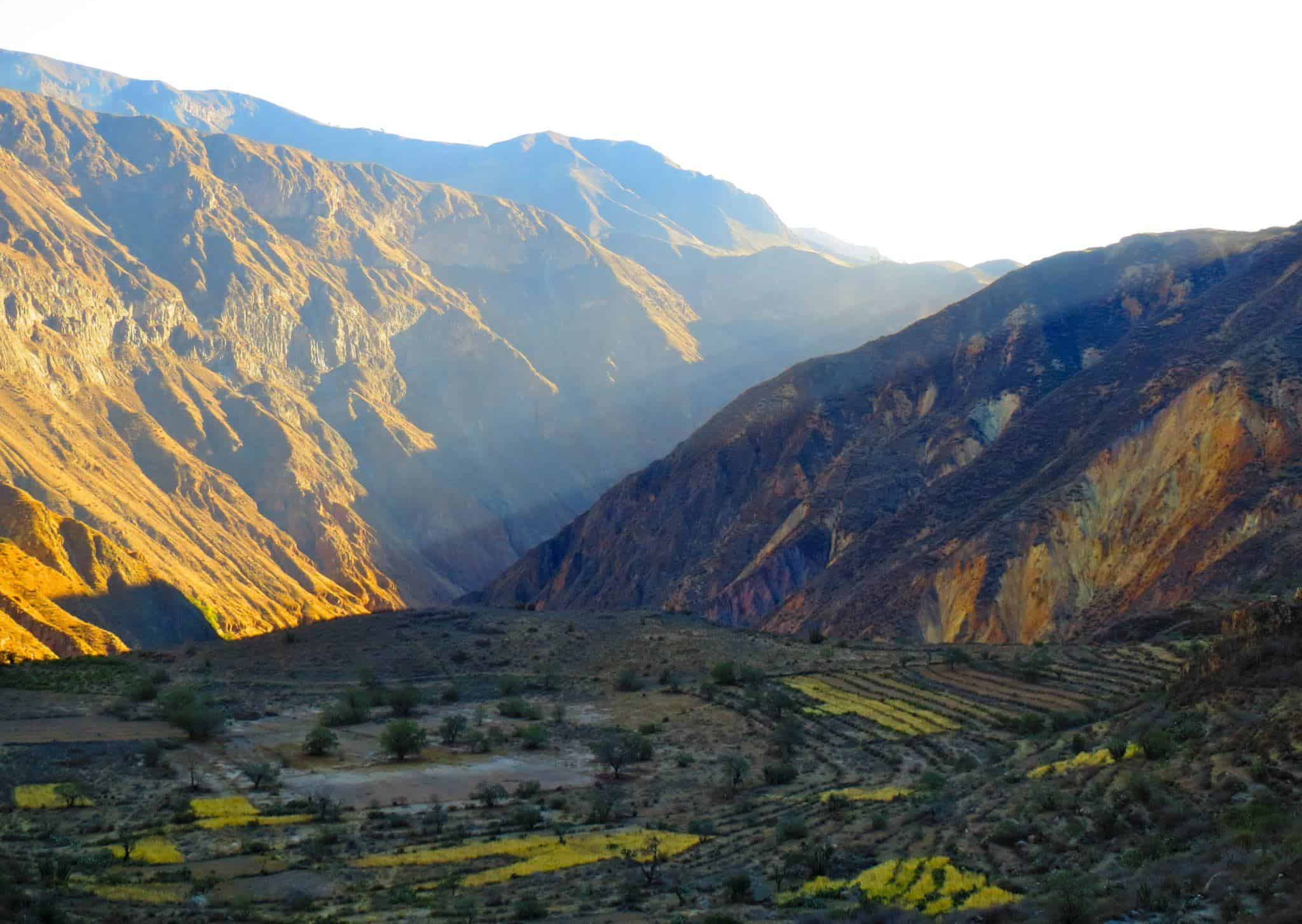 One of the best hikes I've ever made happened at Colca Canyon