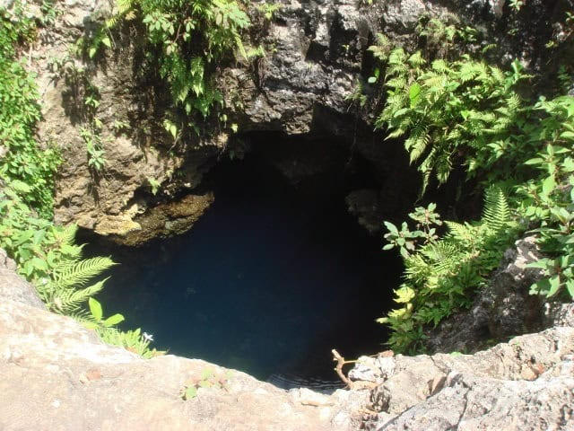 Opening to a Cenote in Mexico