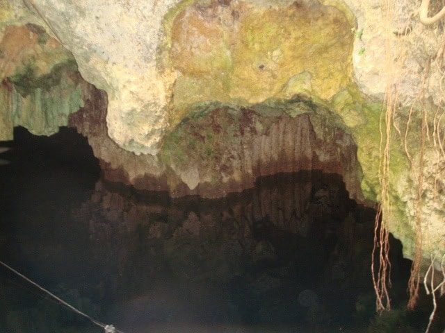 The start of rock formations in a cenote.