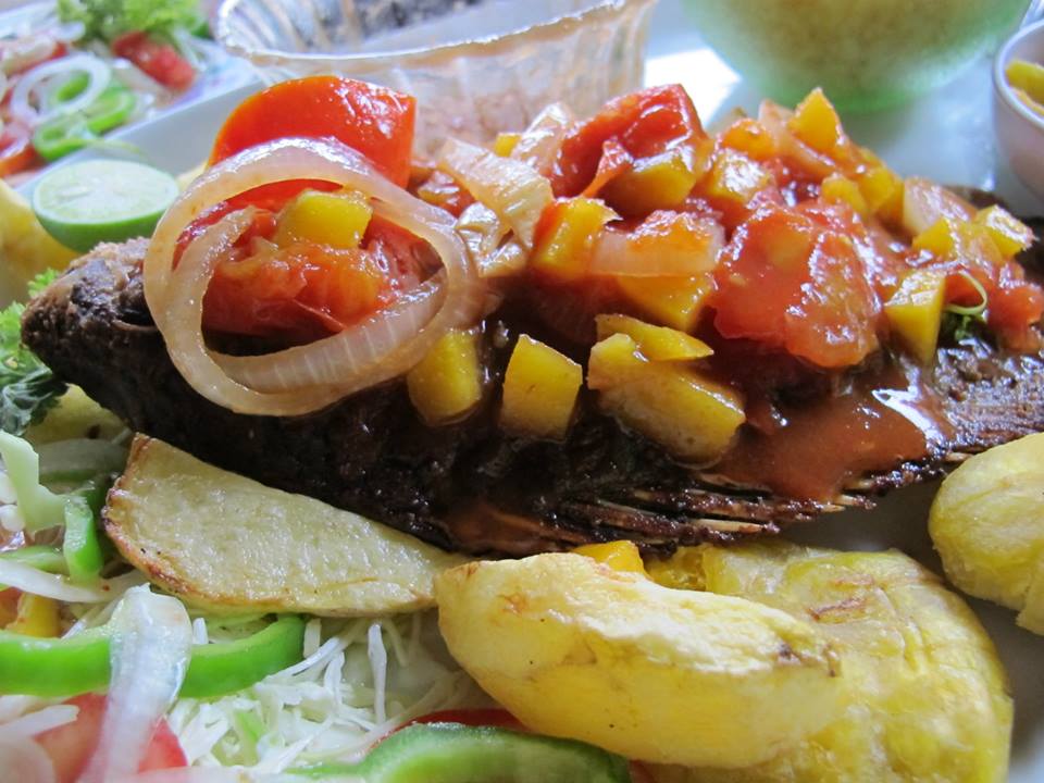 Guapote, an Ometepe specialty, lightly breaded in delicious Spanish spices — topped with a sweet and salty mango tomato sauce. Thanks to Ometepe Secret Adventures for such introducing me to such a delicacy.
