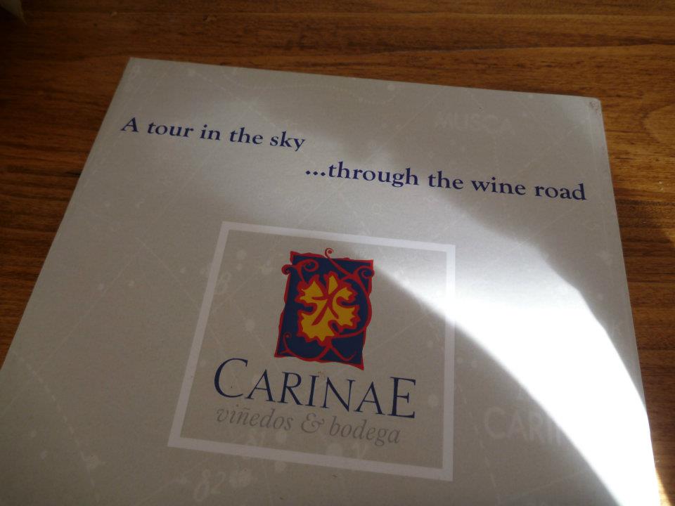 CarinaE was my favorite bodega in Argentina.