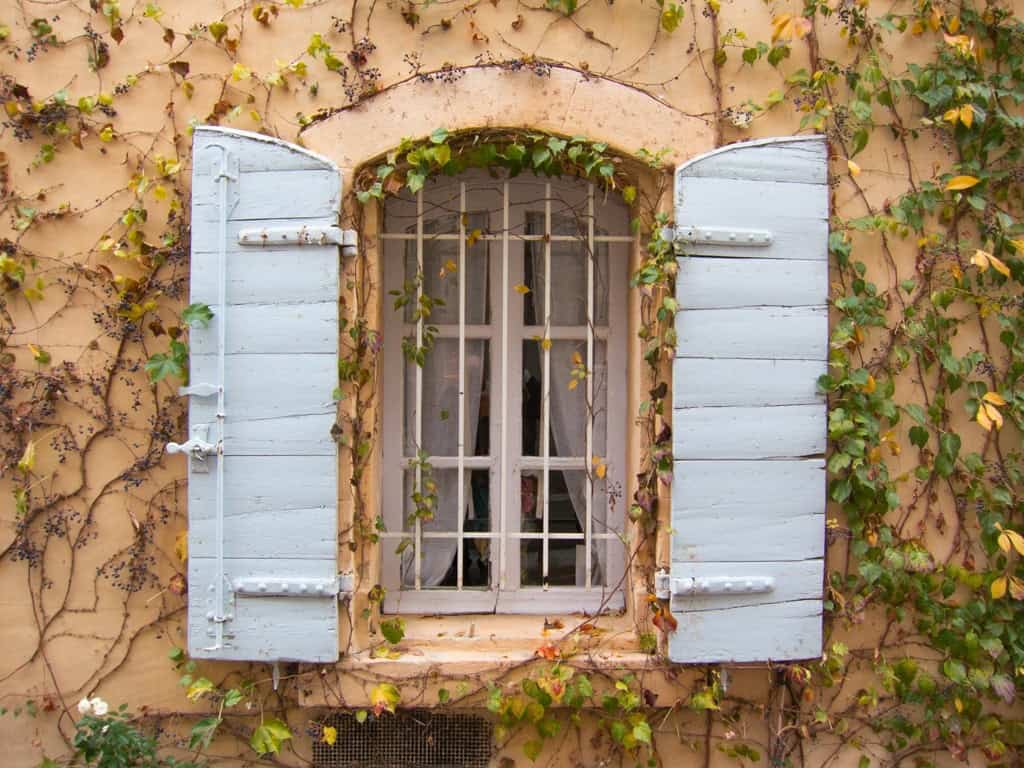 Ivy-covered window in Arles