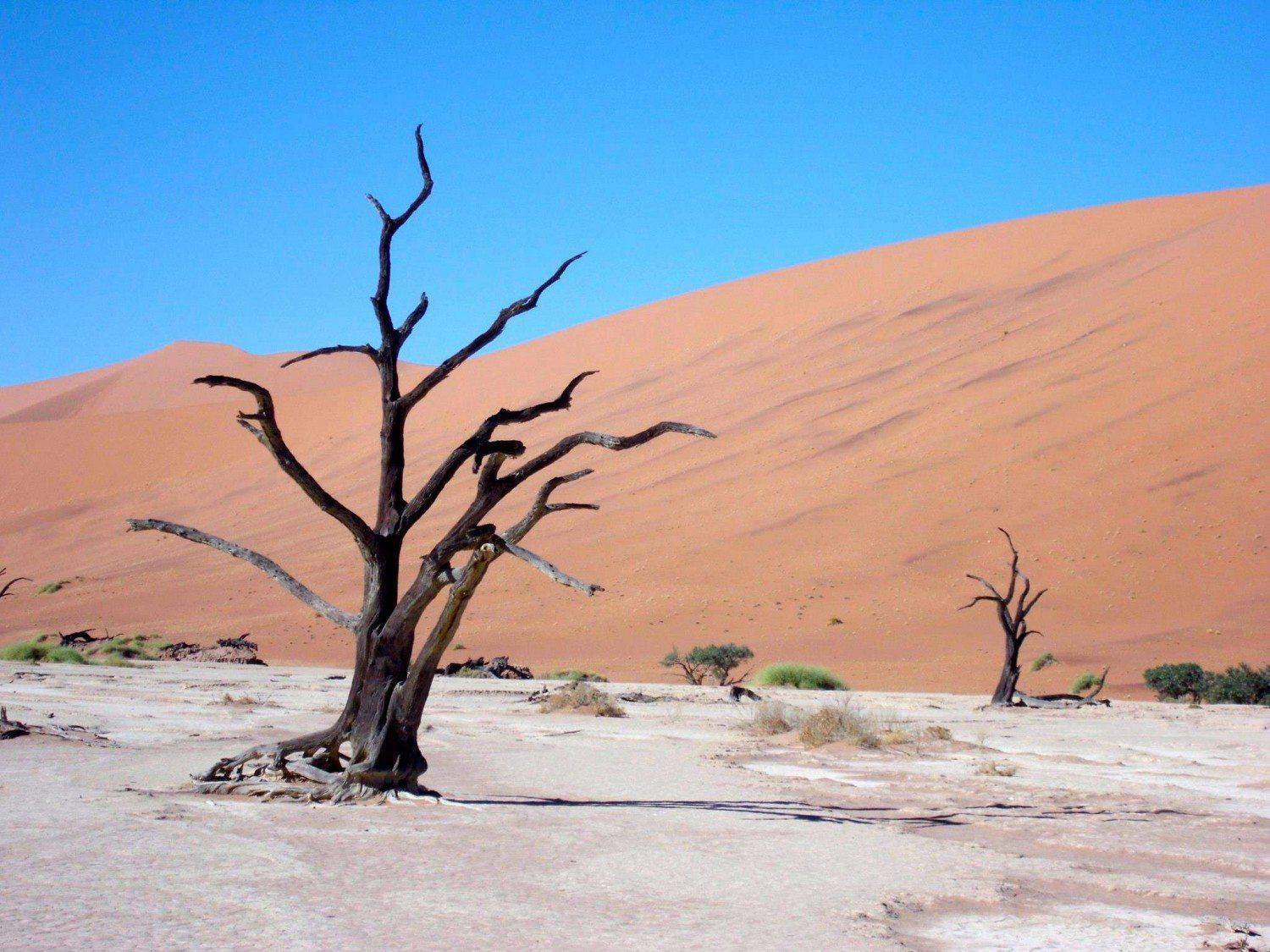 Why Namibia Should Be On Your Itinerary