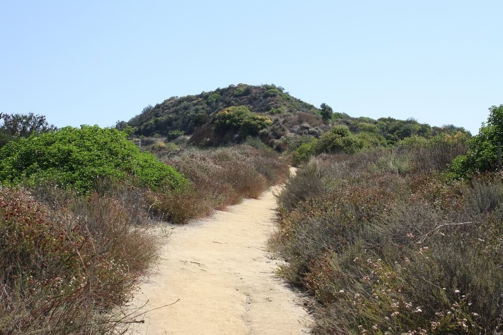 Hiking trail in Franklin Canyon Park, Los Angeles (photo: David Lofink).