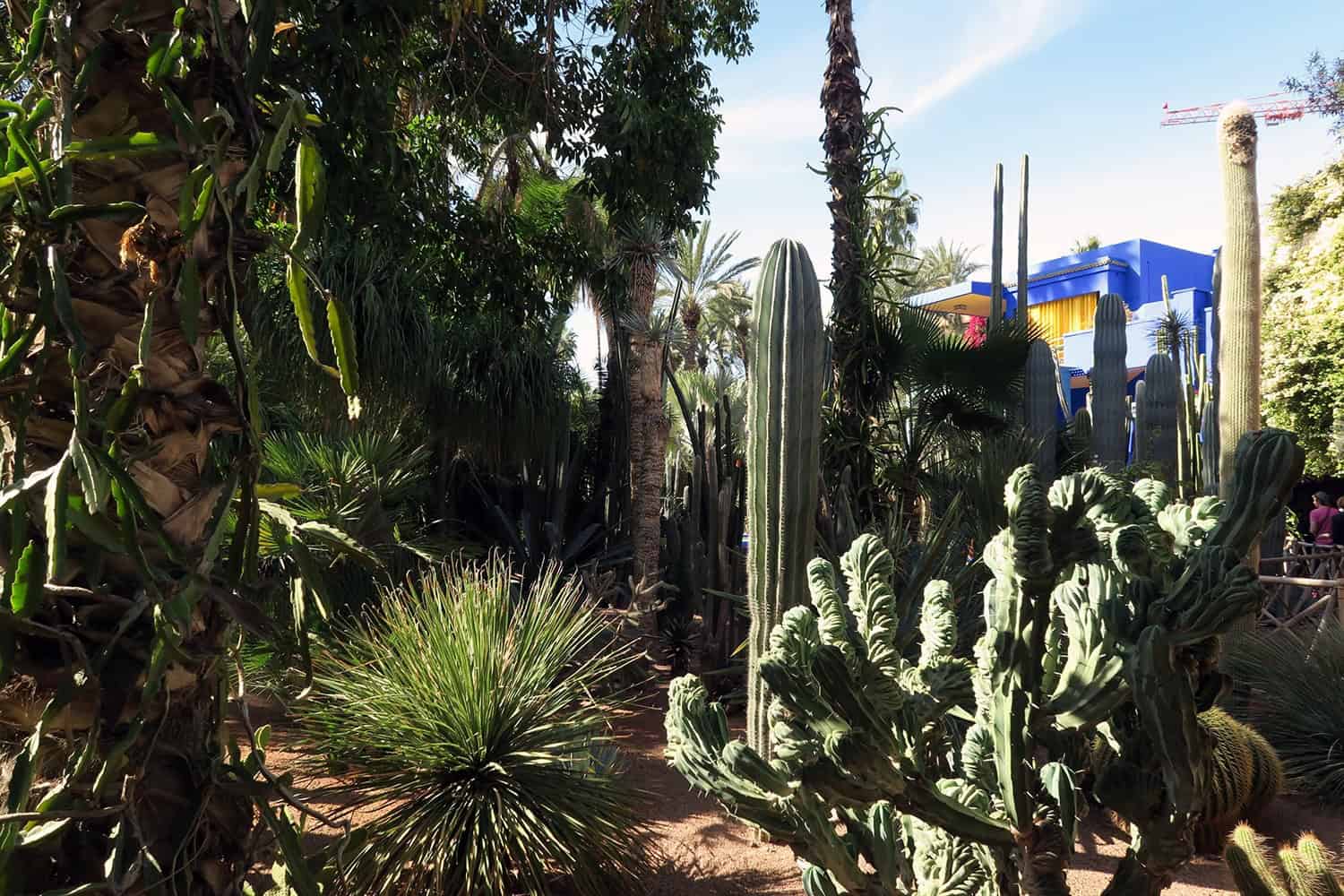 Here are five reasons why you should consider making a plan to visit Marrakech.