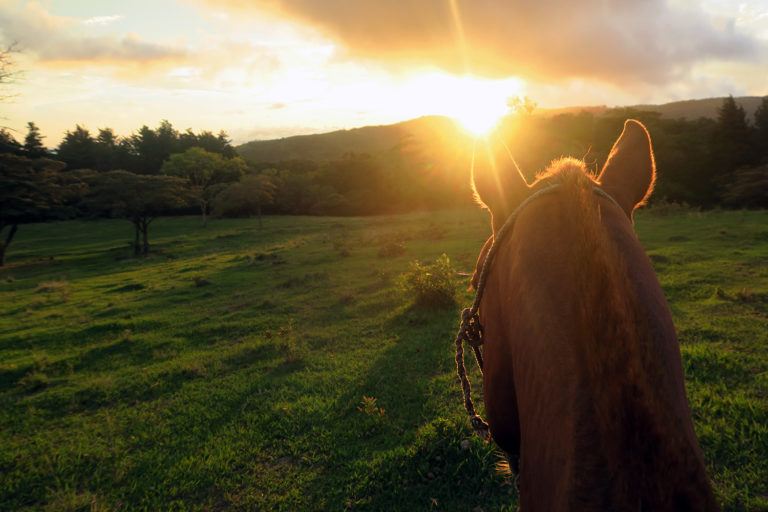 horse-costarica