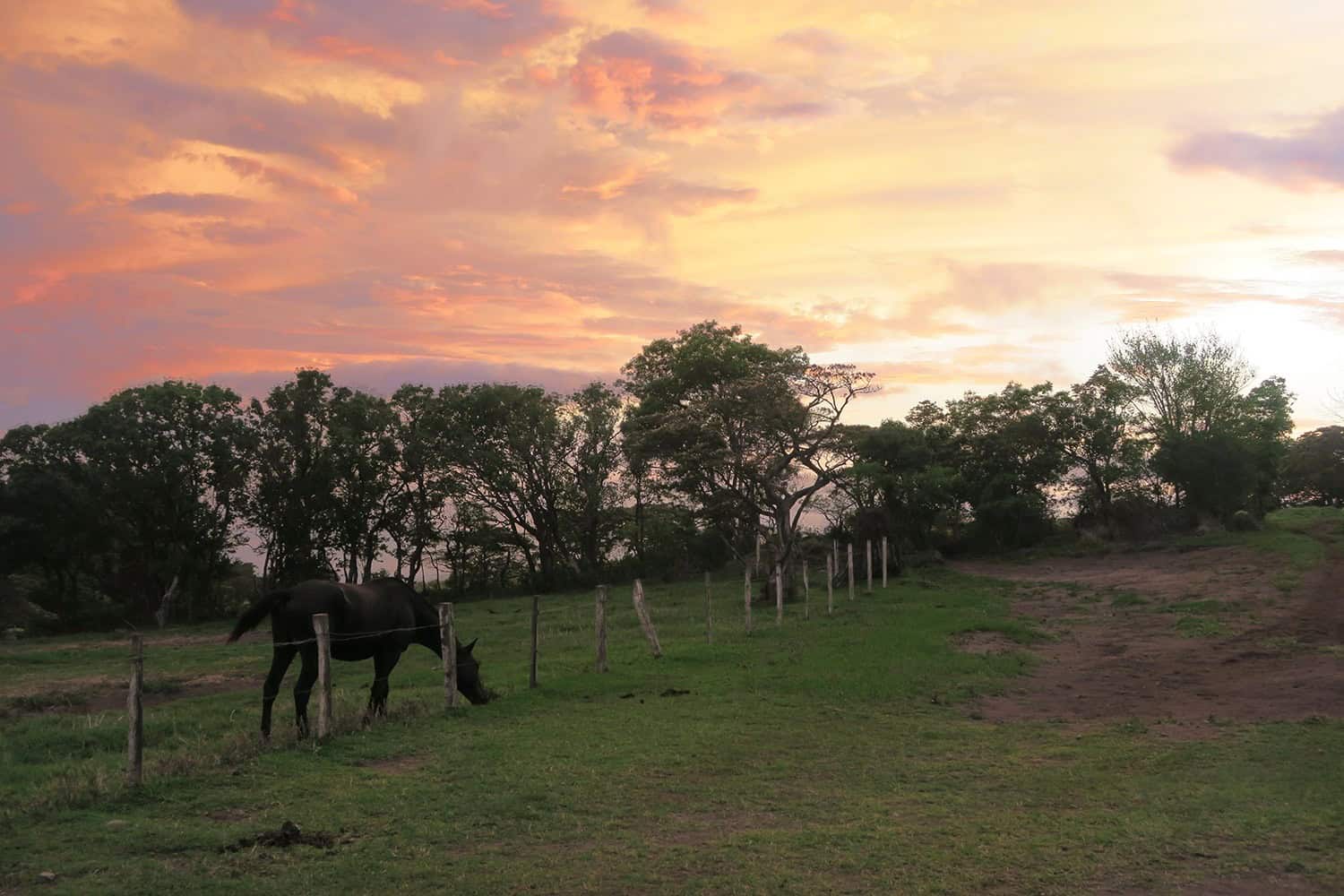 Why Costa Rica? Sunsets like these!