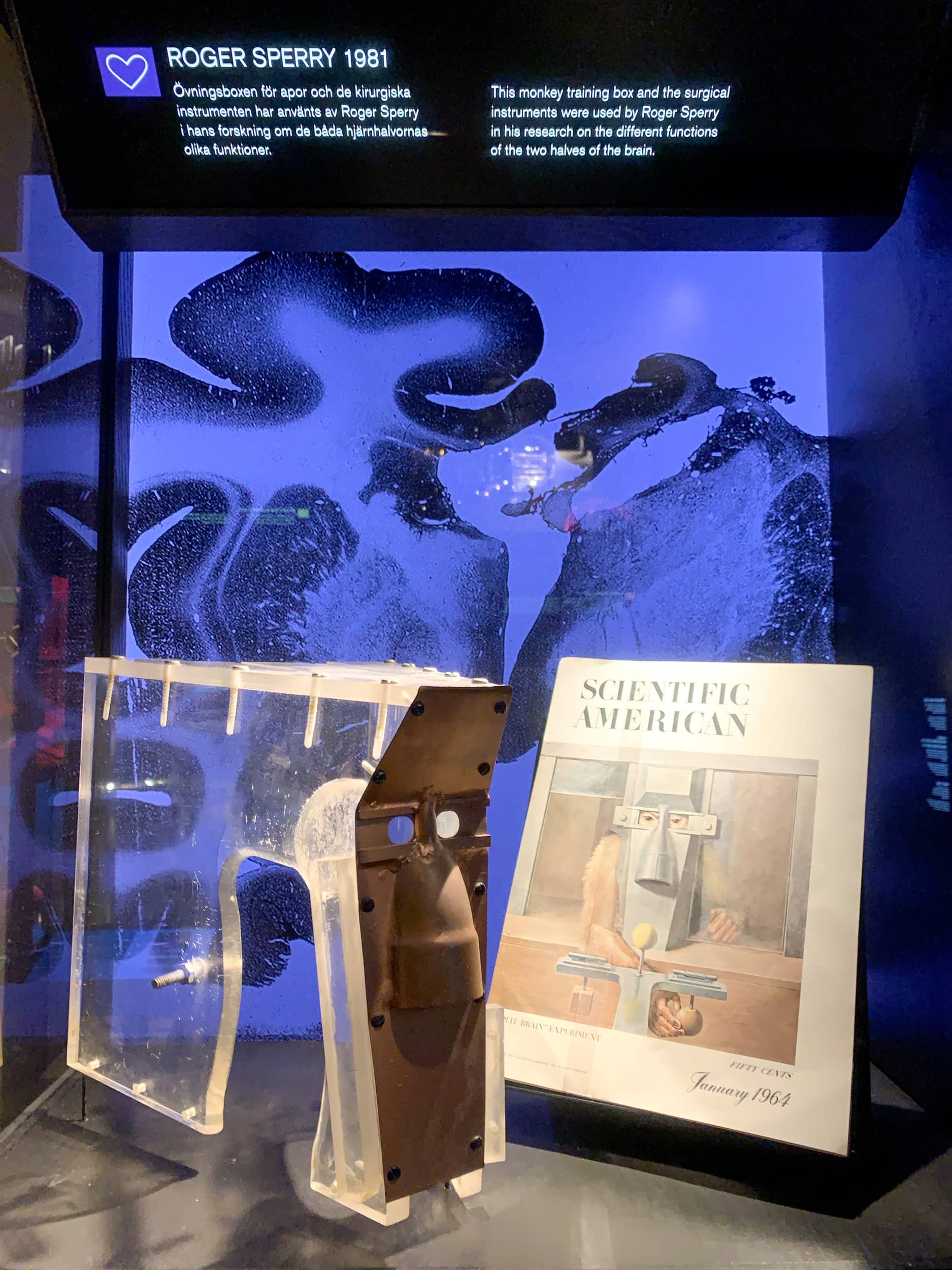 Exhibit at the Nobel Prize Museum