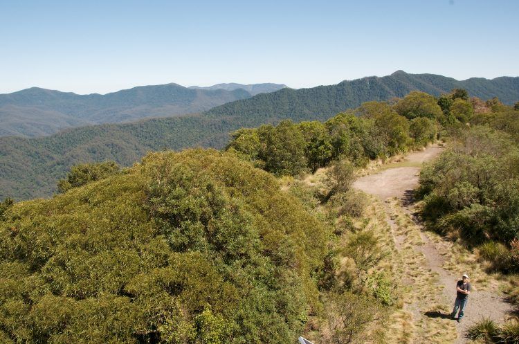Barrington Tops National Park (Credit: Nomad Tales)