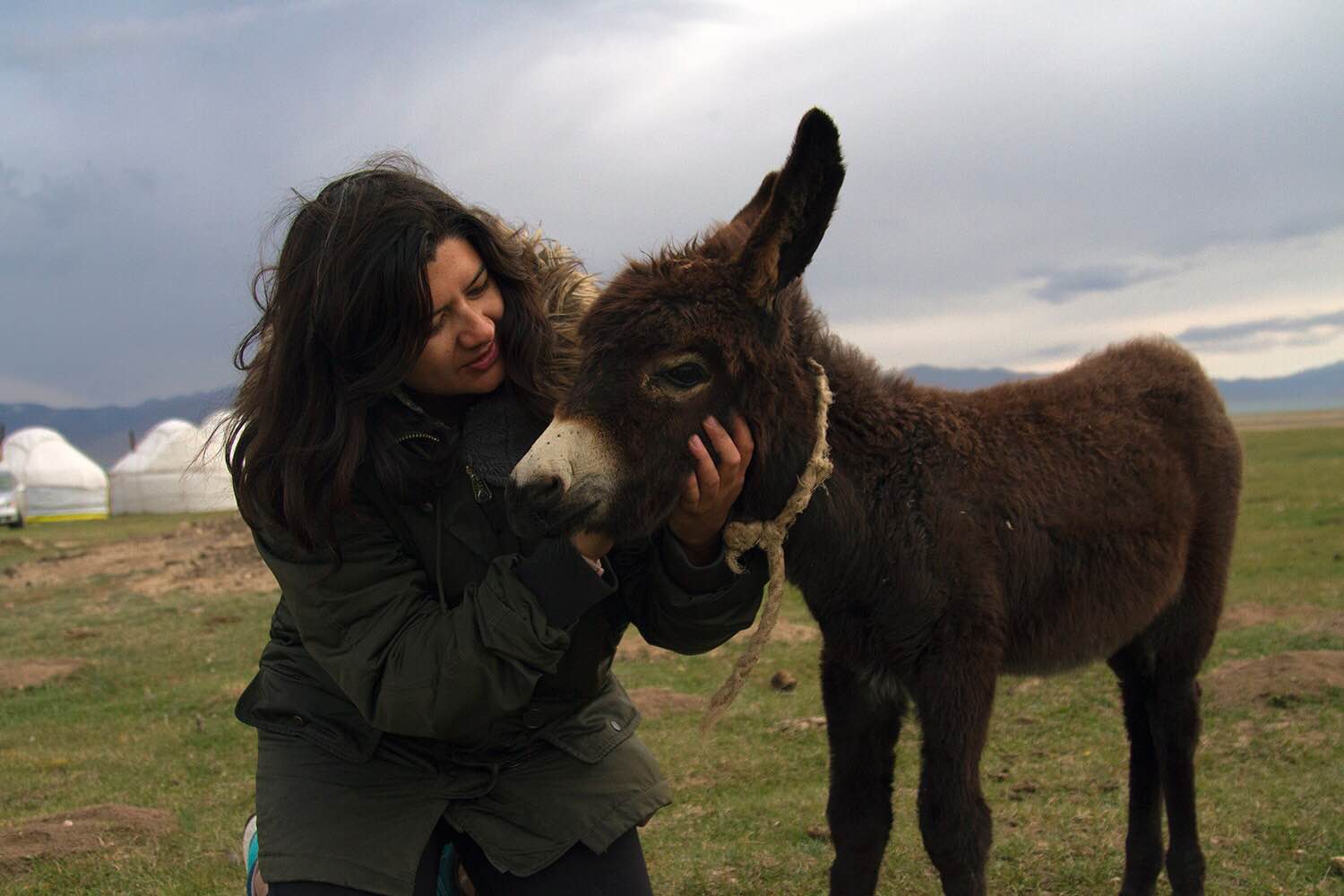 Making friends with a baby donkey at Song Kol Lake.