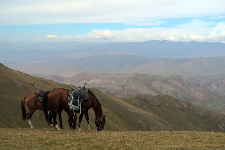 Horses Trekking by Horse to Song Kol Lake in Kyrgyzstan