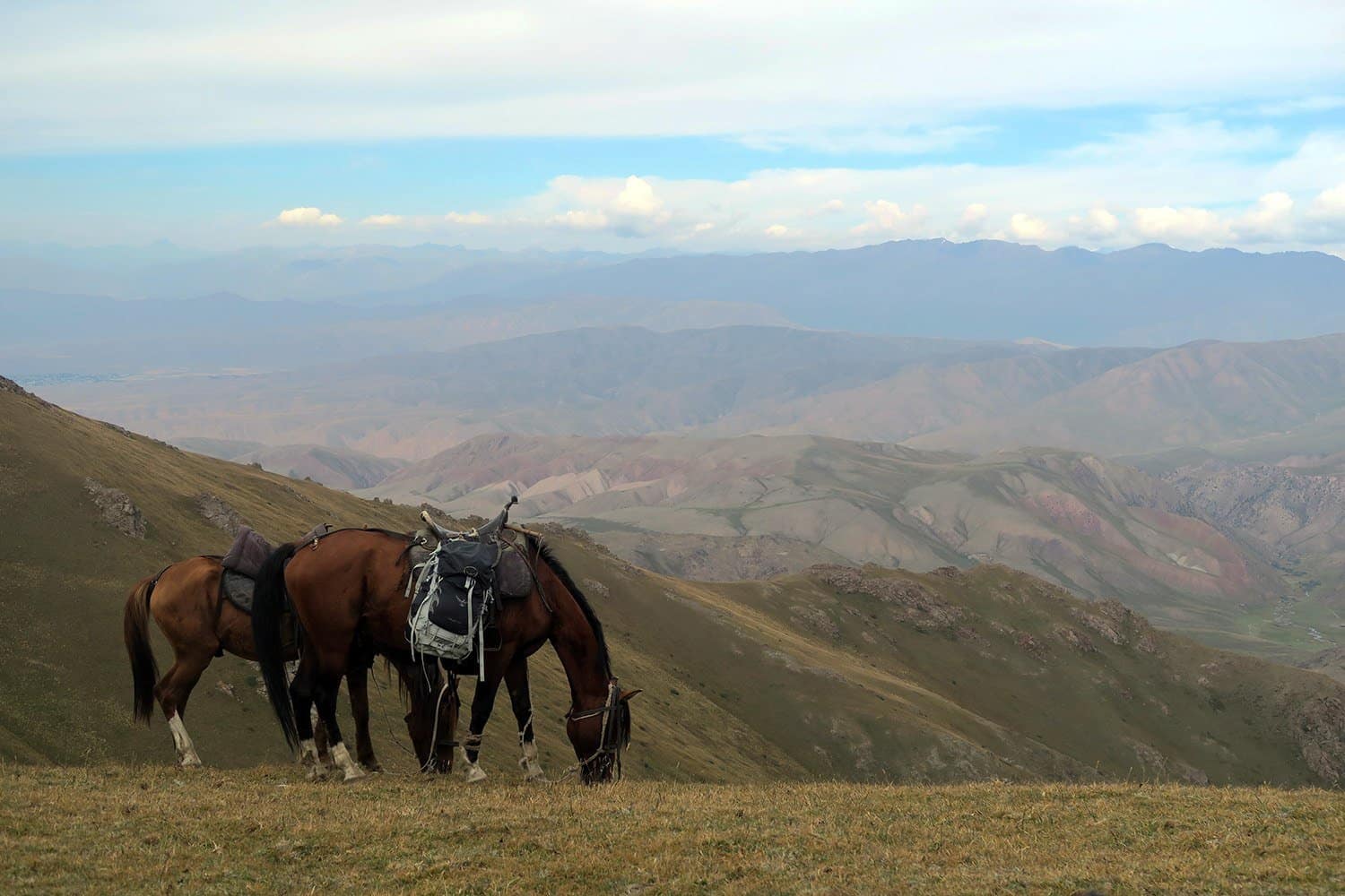 Song Kol Lake Horse Trekking in Kyrgyzstan - Go Backpacking 