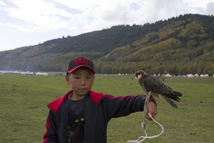Kyrgyz boy with falcon A young Kyrgyz boy who very kindly let me snap a pic of him and his falcon.