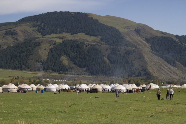 Yurt village The yurt village at the world nomad games.
