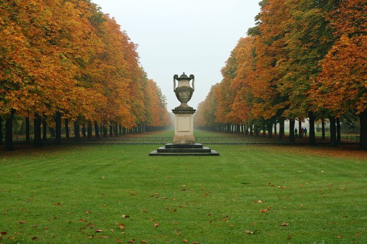 A park in Dresden (Credit: Bert Kaufmann)