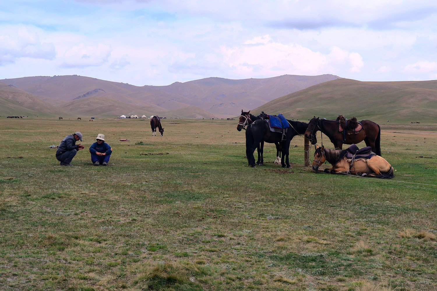 Traditional Kyrgyz transportation.