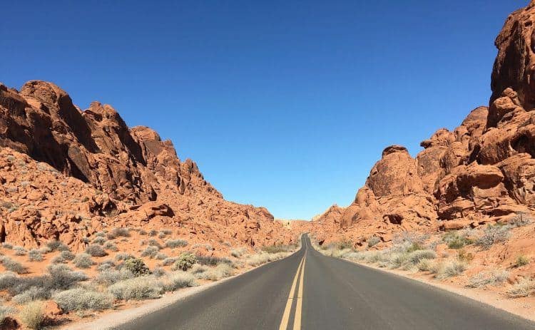 Keep those camels off the road (photo: AnnicaB, Pixabay)
