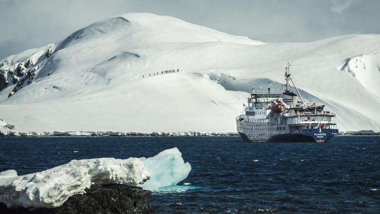 Half Moon Island, Antarctica