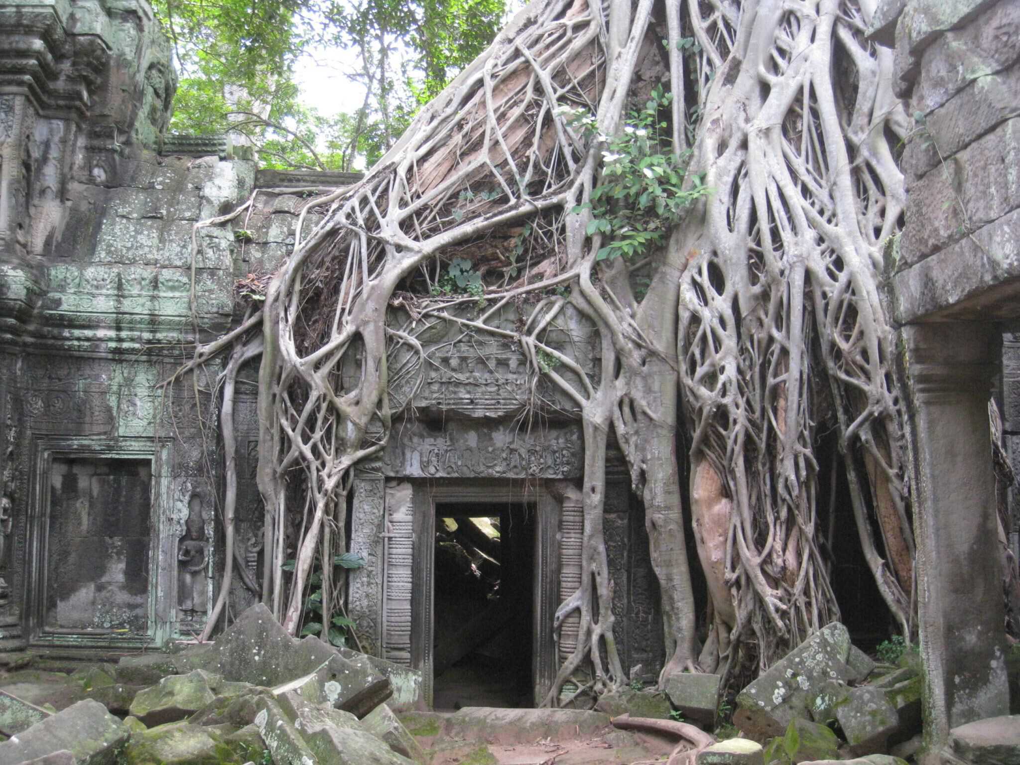 Ta Prohm, Cambodia