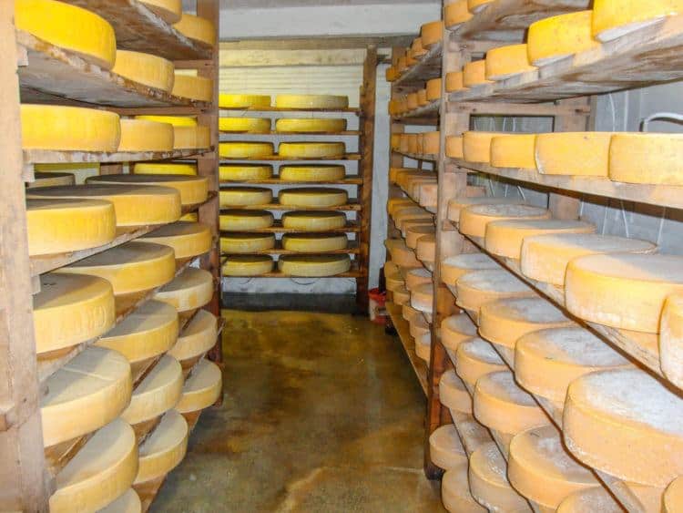 Cheese Making Tours in Switzerland
