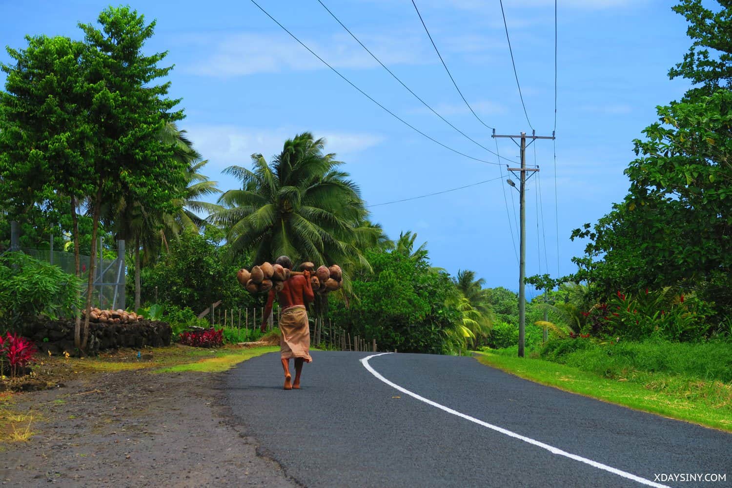 Open Road South Pacific- XDAYSINY.COM