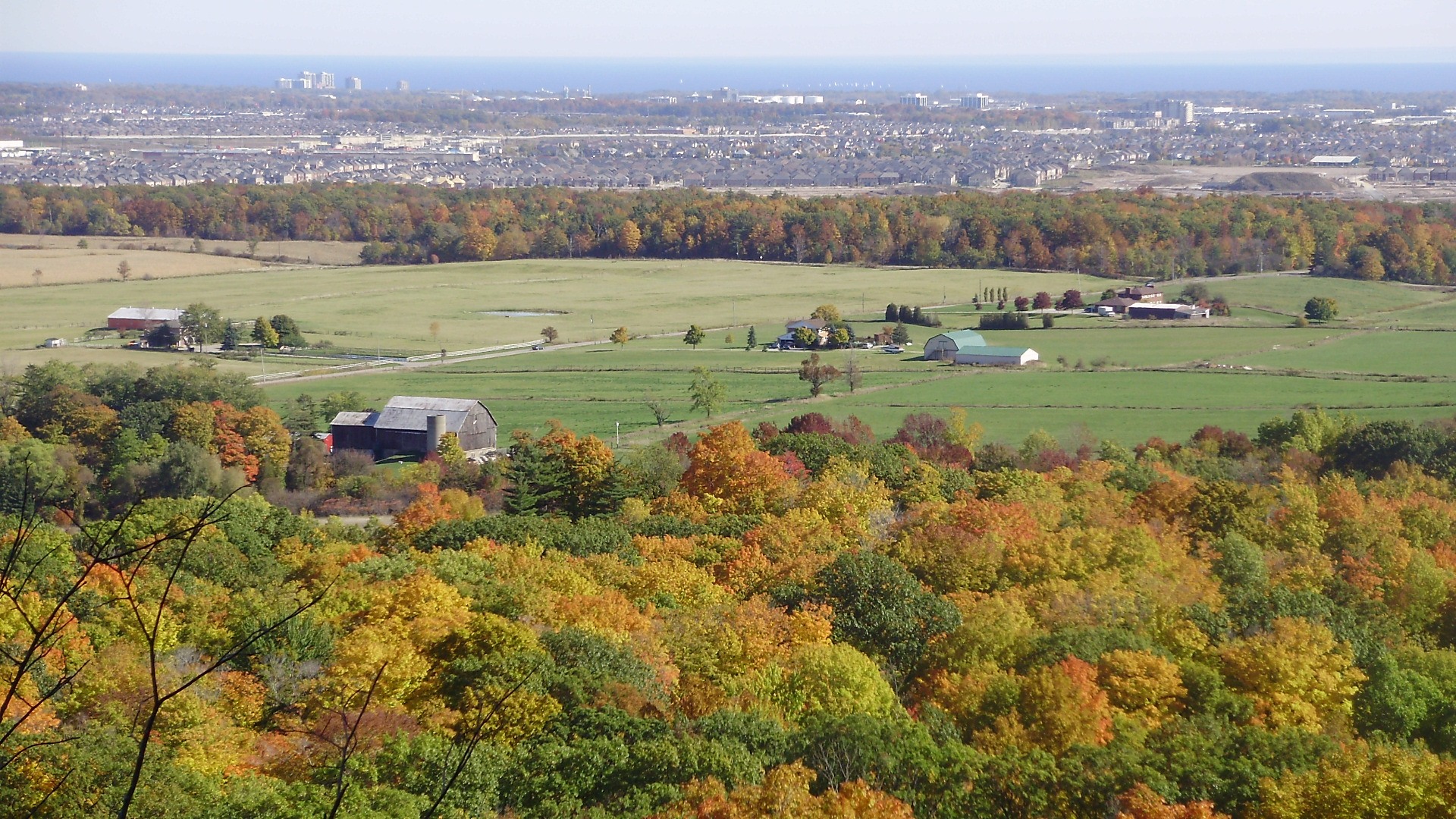 Fall foliage as seen from Mount Nemo