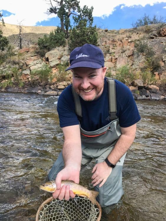 Wild brown trout