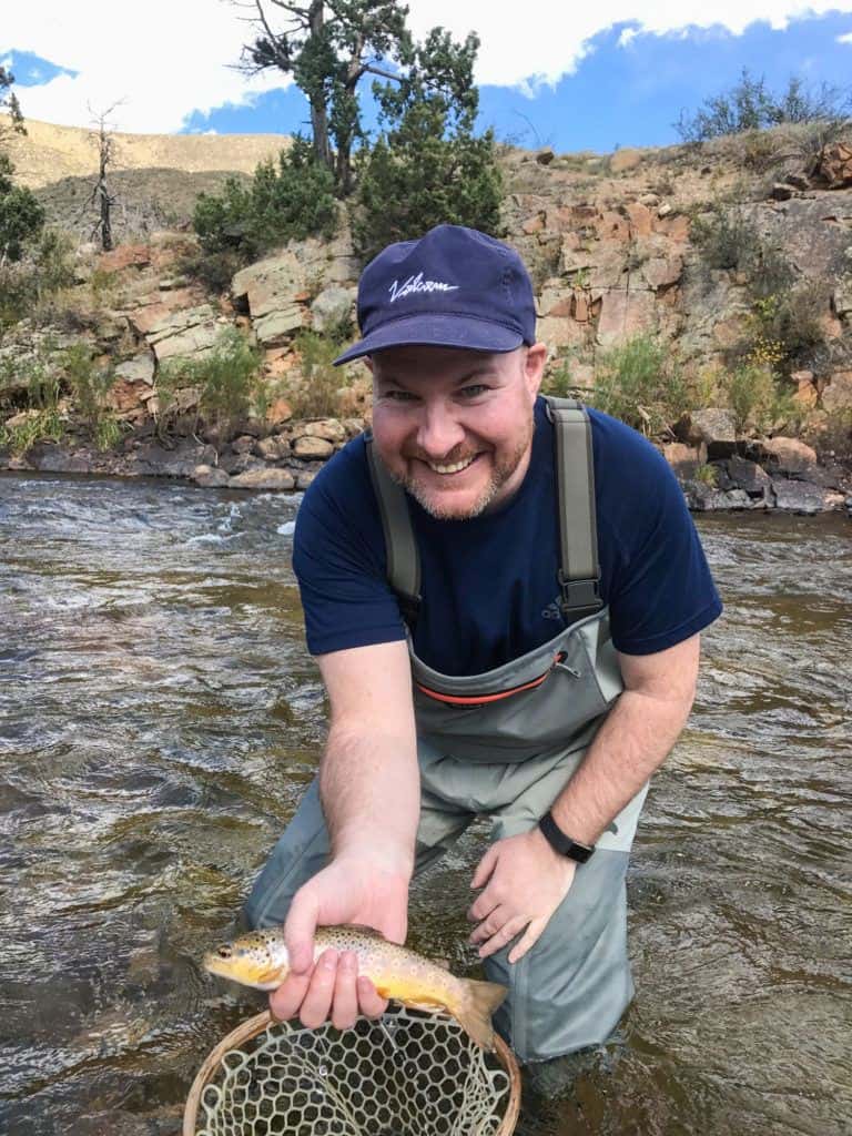 Wild brown trout