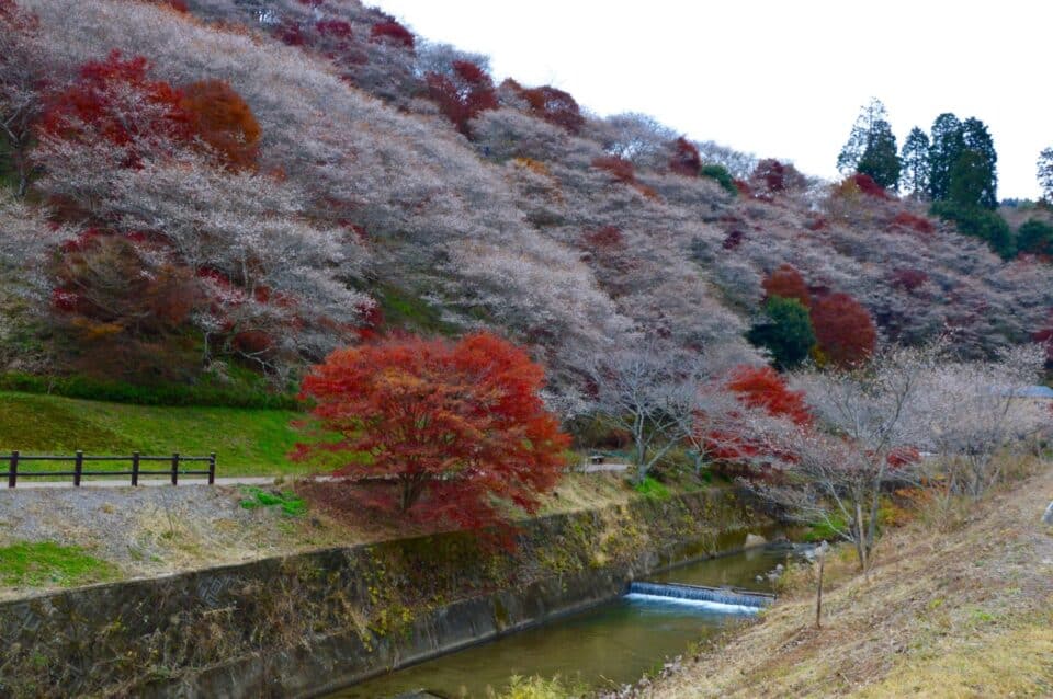 5 Reasons to Visit Japan's Chubu Region Go Backpacking