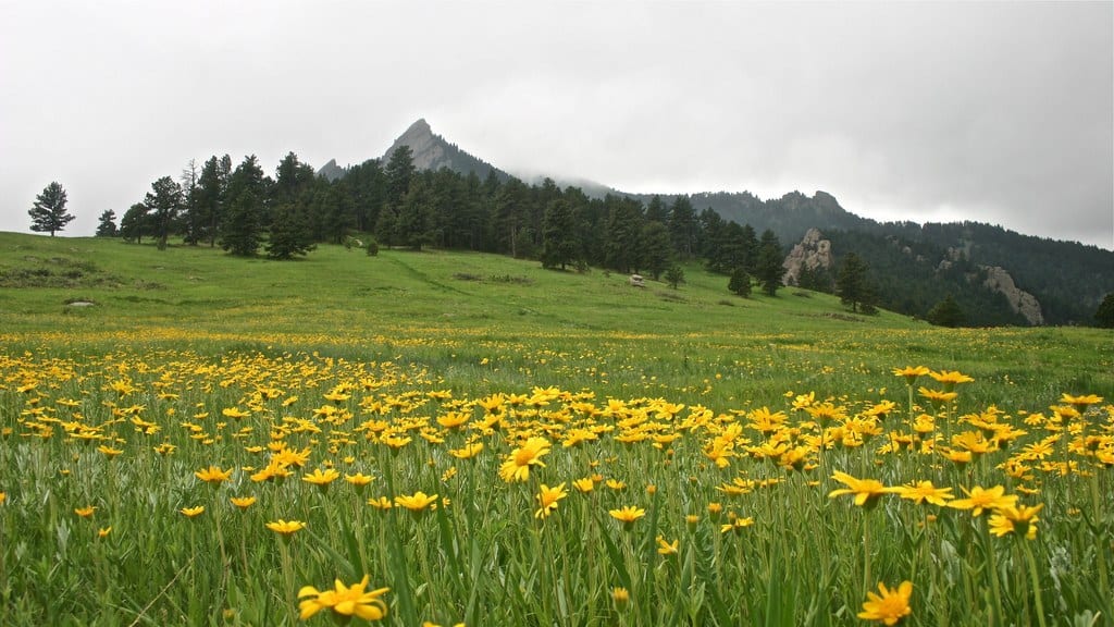 Chautaugua Meadow - Boulder, Colorado (photo: Jeff Turner)