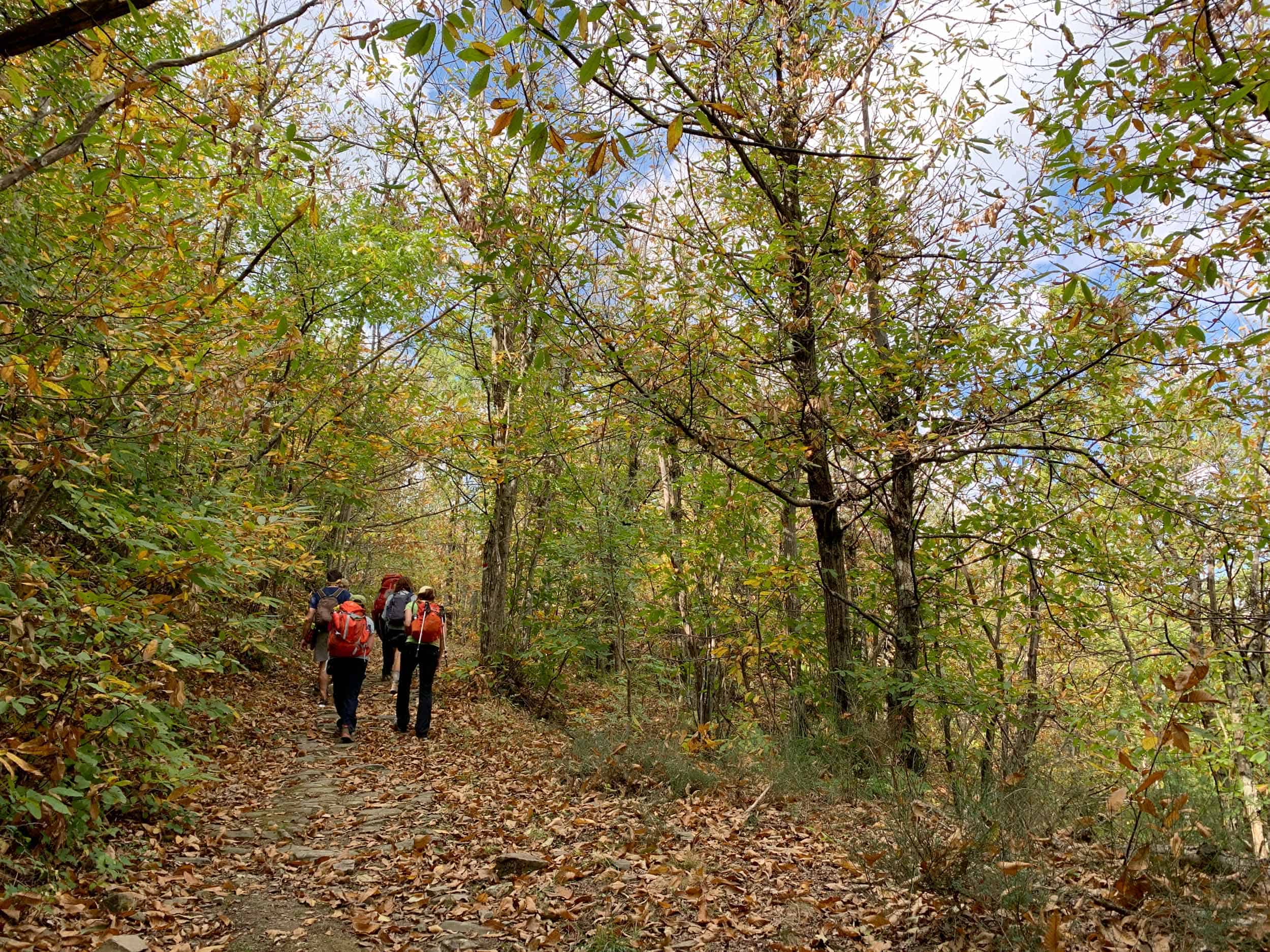 Fall walking tour in Tuscany, along the Via Francigena