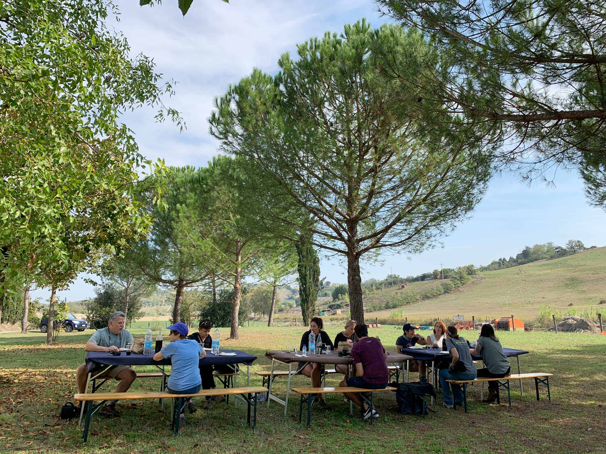 Lunch on an organic farm