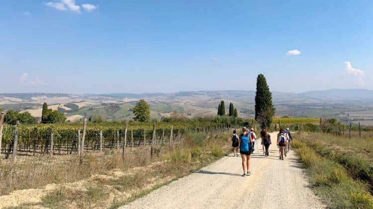 Val d'Orcia landscape, Via Francigena - Tuscany