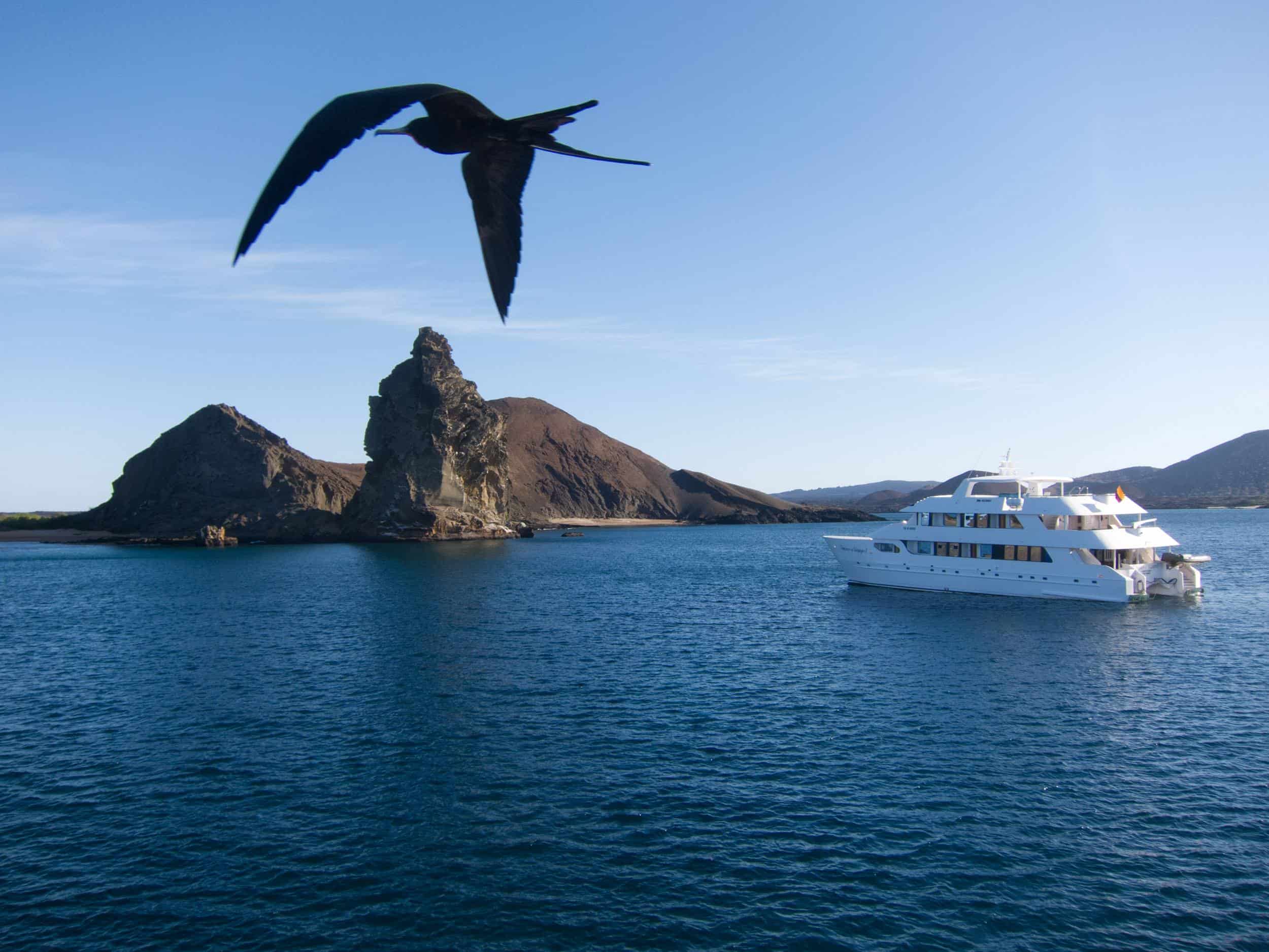 Frigate Bird at sunset in the Galapagos Islands