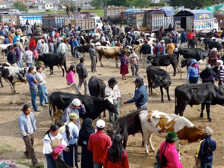 Otavalo market