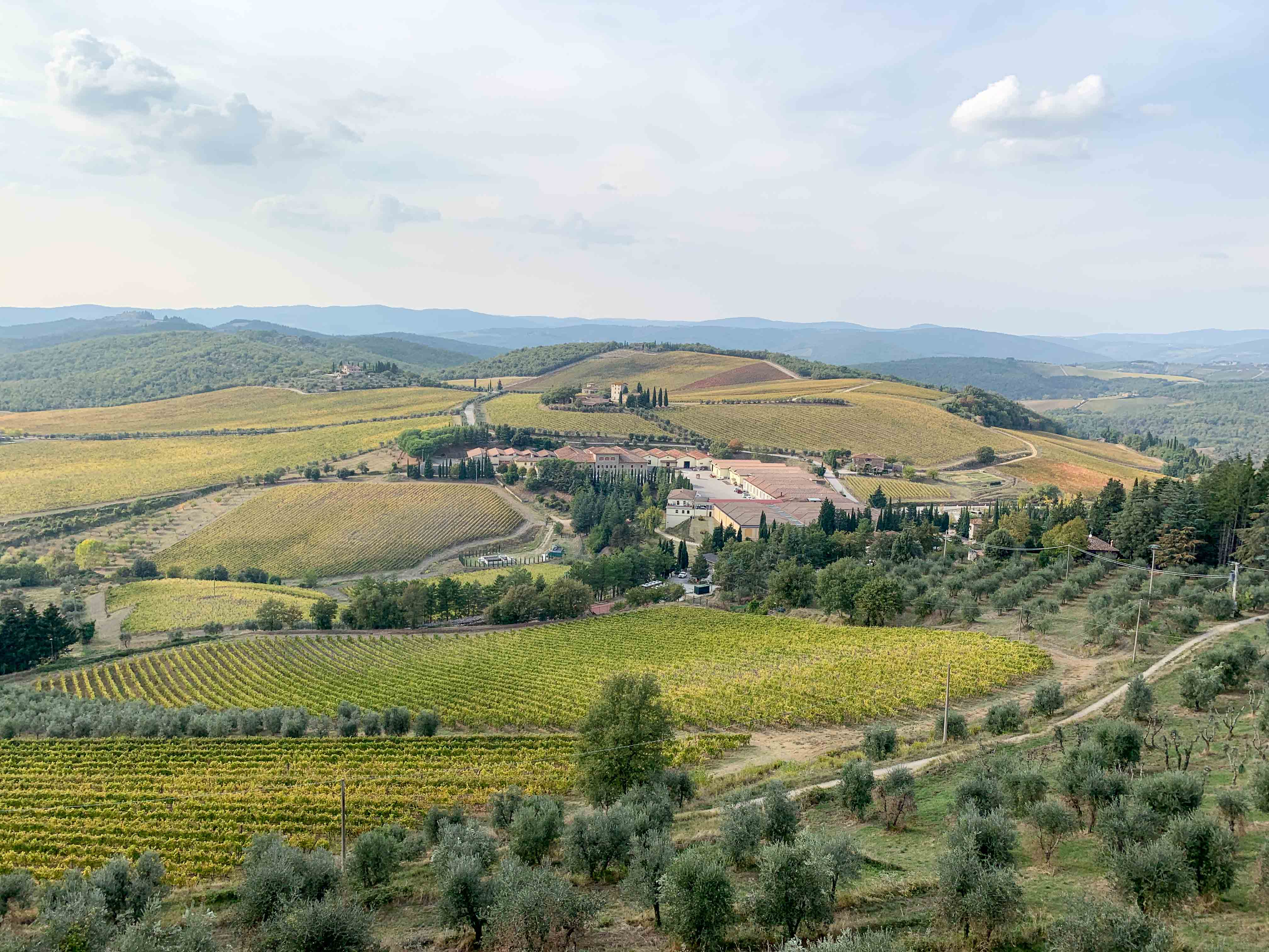 View from Castello di Brolio