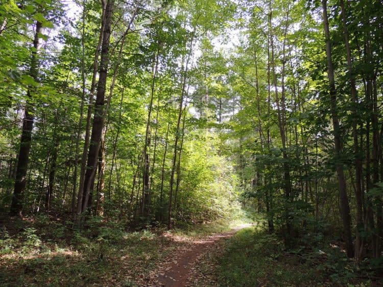 Bruce Trail in Ontario, Canada