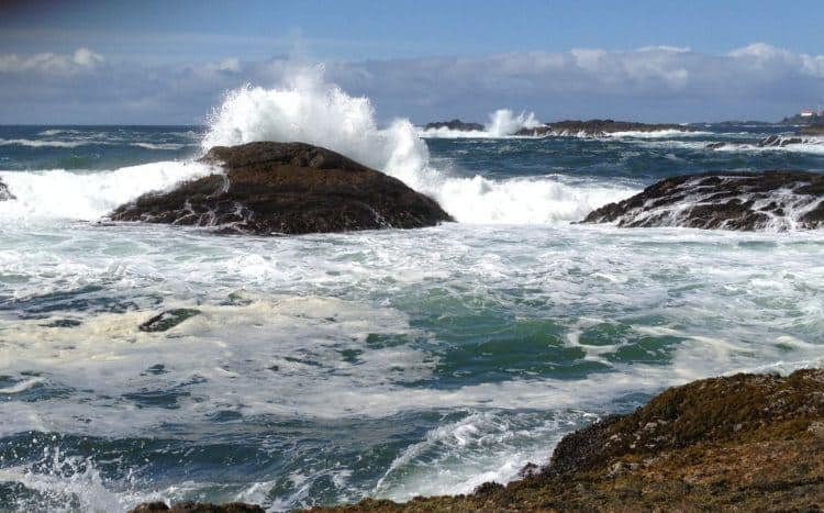 Pacific Rim National Park Reserve