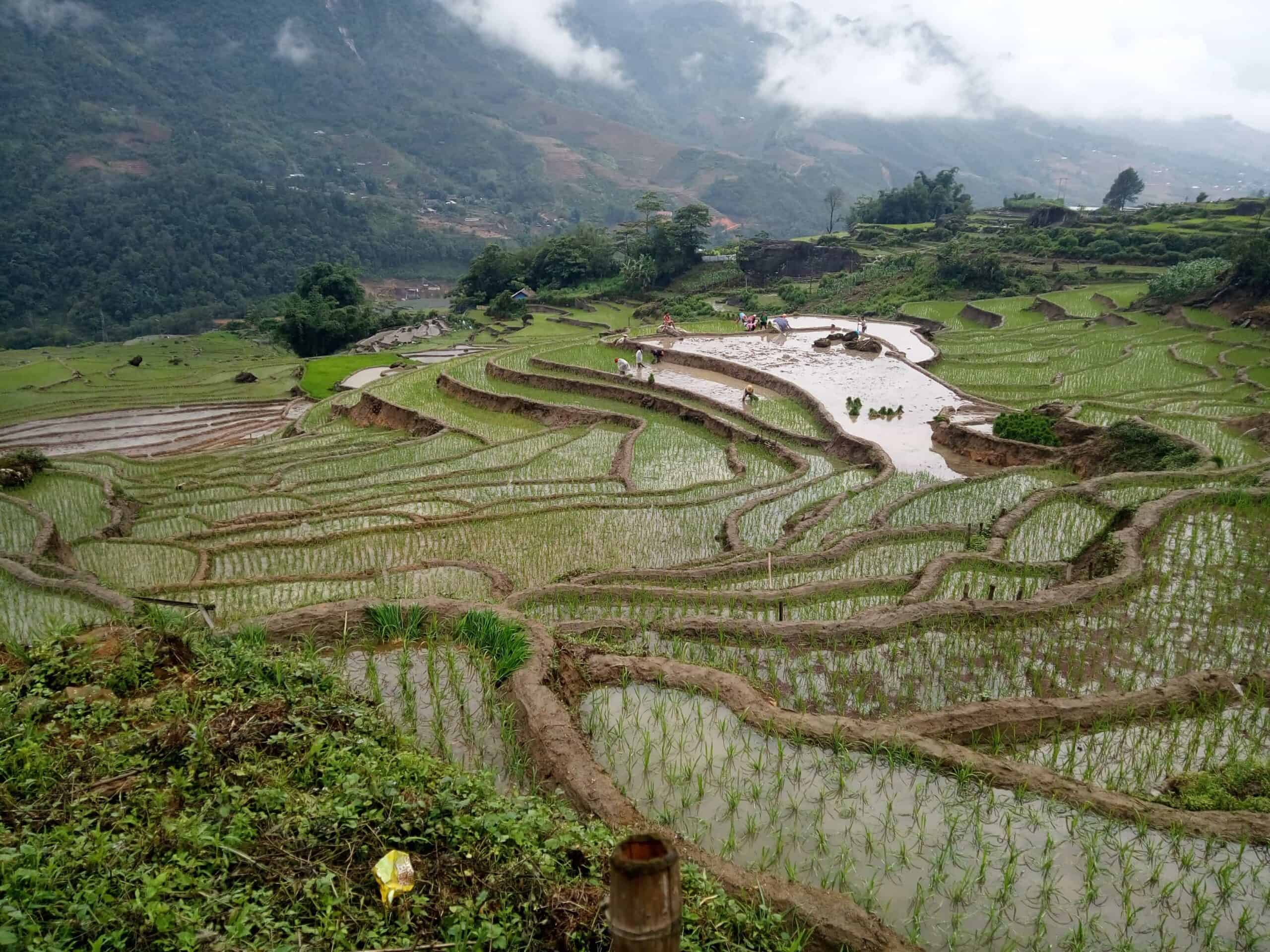 Rice paddies in Sapa, one of the best places to visit in Northern Vietnam